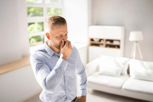 Home Odor Elimination - Remove Smoke, Pet Smells